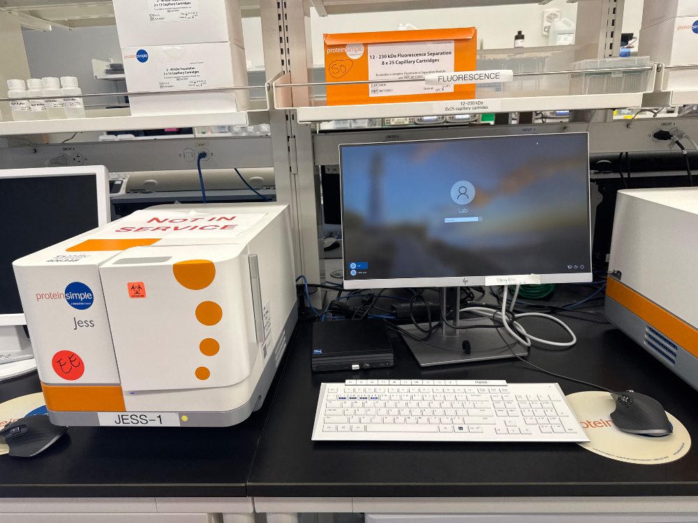 Image of ProteinSimple Jess Western Blot System